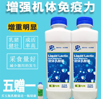 液體乳酸菌（豬專用）