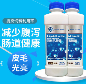 液體乳酸菌（狐貉專用）