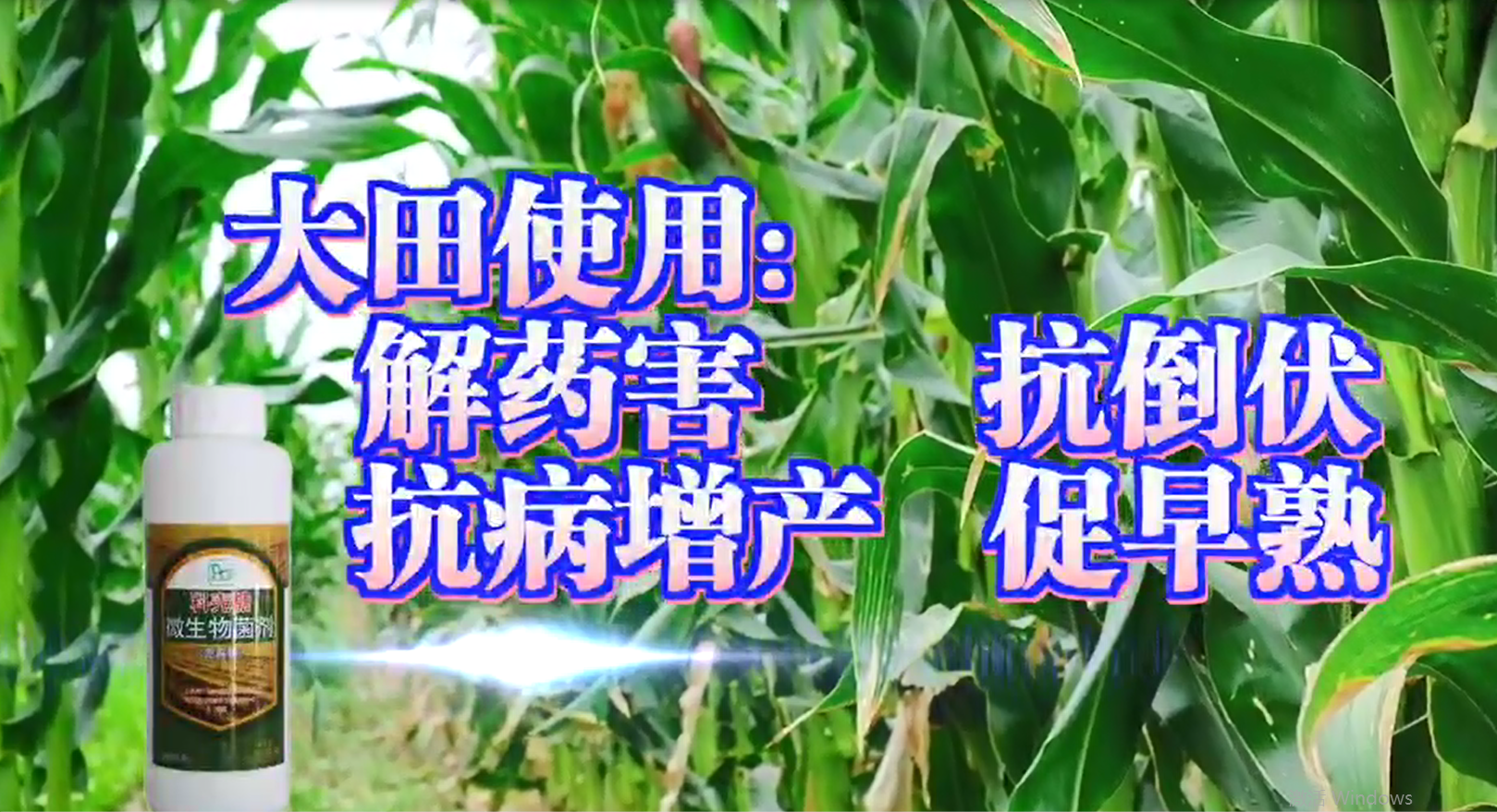 生物菌劑科殼糖